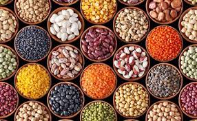 Seeds